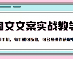 抖音图文文案实战教学，一部手机，有手就可以做，可多号操作获取收益-风淘社