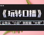 月营业额700万+大佬教您《玩转口播》让你从“小白”到剪辑“大师”-风淘社