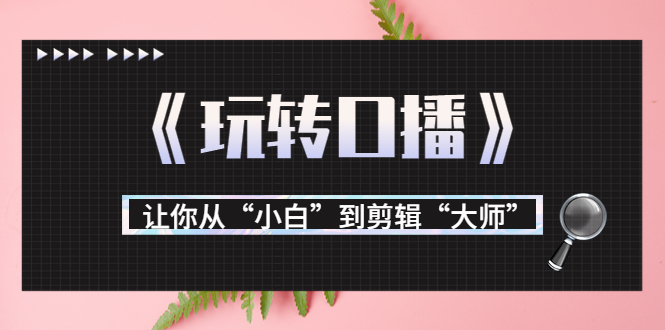 月营业额700万+大佬教您《玩转口播》让你从“小白”到剪辑“大师”-风淘社
