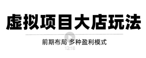 虚拟项目月入几万大店玩法分享,多店操作利润倍增(快速起店盈利)-风淘社