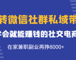玩转微信社群私域带货，学会就能赚钱的社交电商，在家兼职副业再挣8000+-风淘社