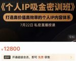 个人IP吸金密训班,打造高价值高效率的个人IP内容体系(价值12800元)-风淘社