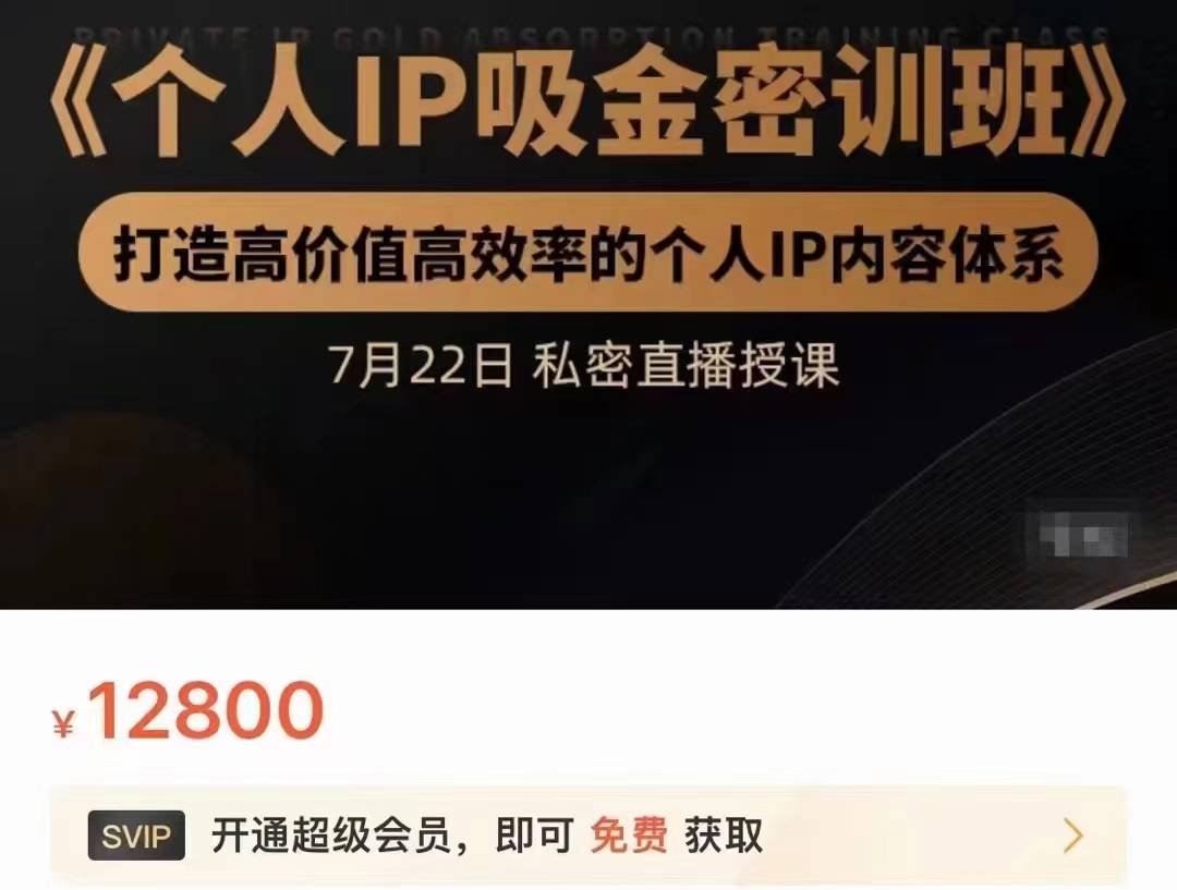 个人IP吸金密训班,打造高价值高效率的个人IP内容体系(价值12800元)-风淘社