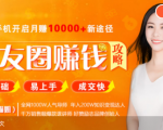 全网千万人气导师亲授:零基础/易上手的朋友圈赚钱攻略,让你轻松月入过万-风淘社