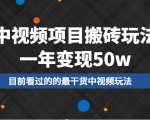 中视频项目搬砖玩法,一年变现50w,目前看过的的最干货中视频玩法-风淘社