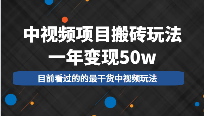 中视频项目搬砖玩法,一年变现50w,目前看过的的最干货中视频玩法-风淘社