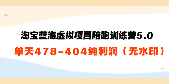 淘宝蓝海虚拟项目陪跑训练营5.0:单天478纯利润-风淘社