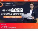 0粉0作品自然流正价起号及稳号全教程,专业自然流起号机构流程化教学(价值2980元)-风淘社