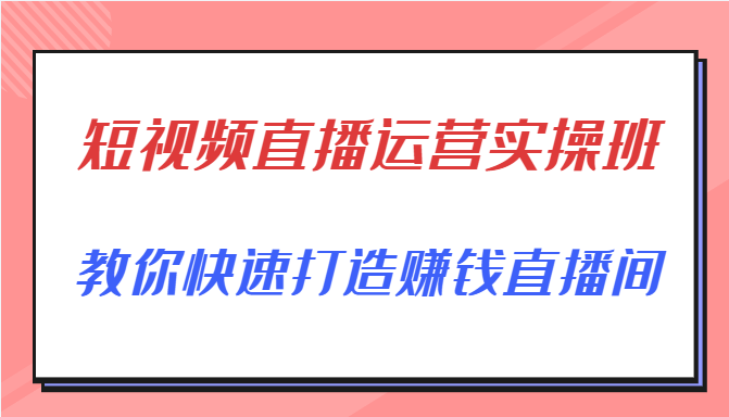 短视频直播运营实操班,直播带货精细化运营实操,教你快速打造赚钱直播间-风淘社