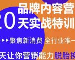 《内容营销实操特训营》20天让你营销能力脱胎换骨(价值3999)-风淘社