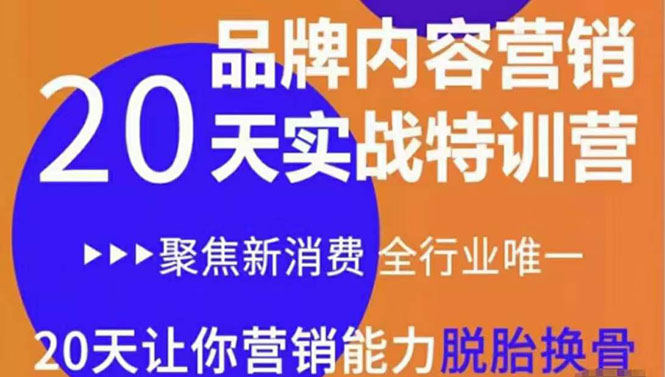 《内容营销实操特训营》20天让你营销能力脱胎换骨(价值3999)-风淘社