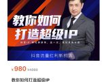 教你如何打造超级IP,抖音流量红利新机遇(价值980元)-风淘社