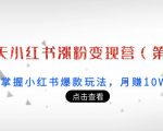 21天小红书涨粉变现营(第3期):带你掌握小红书爆款玩法,月赚10W+秘密-风淘社
