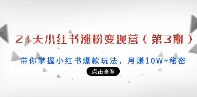 21天小红书涨粉变现营(第3期):带你掌握小红书爆款玩法,月赚10W+秘密-风淘社