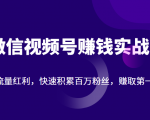 微信视频号赚钱实战：抓住流量红利，快速积累百万粉丝，赚取你的第一桶金-风淘社