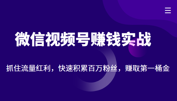 微信视频号赚钱实战:抓住流量红利,快速积累百万粉丝,赚取你的第一桶金-风淘社
