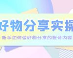 好物分享实操:新手如何做好物分享的账号内容,实操教学-风淘社