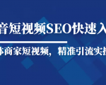抖音短视频Seo搜索排名优化新手快速入门教程,实体商家短视频,精准引流实操课-风淘社