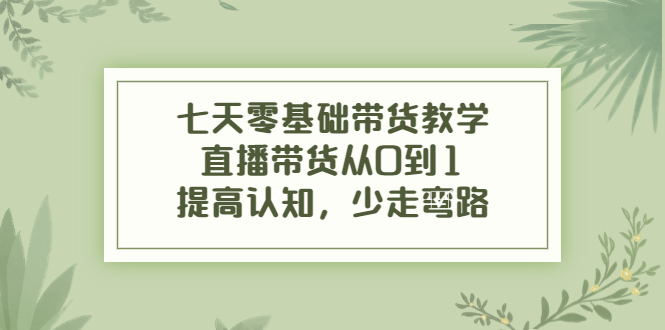 七天零基础带货教学,直播带货从0到1,提高认知,少走弯路-风淘社
