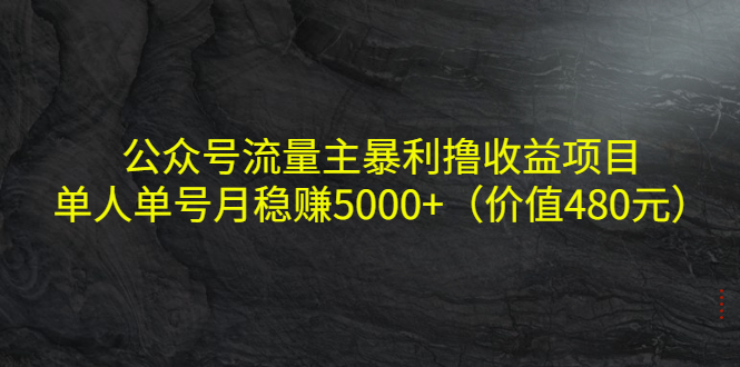 公众号流量主暴利撸收益项目,单人单号月稳赚5000+(价值480元)-风淘社