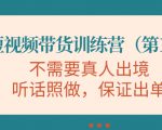 视频带货训练营,不需要真人出境,听话照做,保证出单(第11期)-风淘社