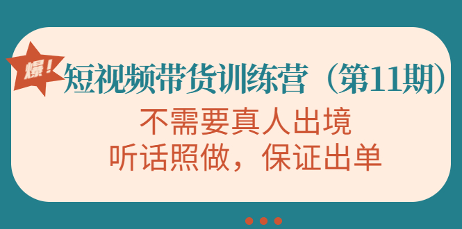 视频带货训练营,不需要真人出境,听话照做,保证出单(第11期)-风淘社