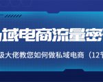 私域电商流量密码:千万级大佬教您如何做私域电商(12节课)-风淘社