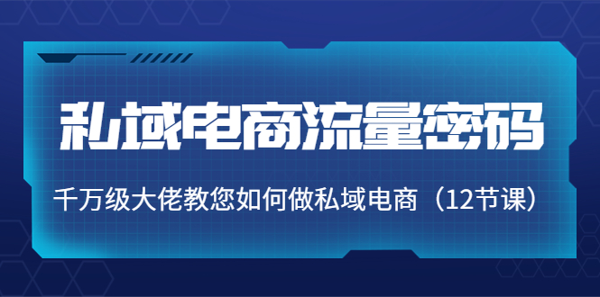 私域电商流量密码:千万级大佬教您如何做私域电商(12节课)-风淘社