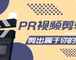 PR视频剪辑课:各种剪辑与视频特效玩法,剪出属于你的大片-风淘社
