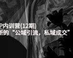 新媒体IP内训营(12期),一套全新的“公域引流,私域成交”IP打法,直接带走-风淘社