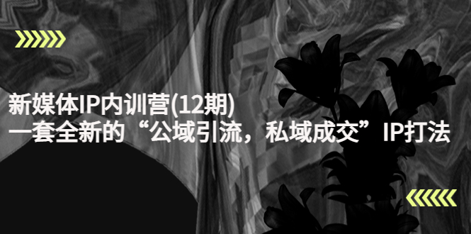 新媒体IP内训营(12期),一套全新的“公域引流,私域成交”IP打法,直接带走-风淘社