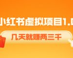 《小红书虚拟项目1.0》账号注册+养号+视频制作+引流+变现，几天就赚两三千-风淘社