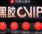 网易云音乐撸黑胶年卡及变现方法,收益可无限放大-风淘社