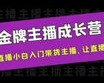 金牌主播成长营,一周从直播小白入门带货主播,让直播更简单-风淘社