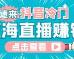 最新抖音冷门简单的蓝海直播赚钱玩法,流量大知道的人少,可做到全无人直播-风淘社