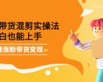 最新抖音冷门简单的蓝海直播赚钱玩法,流量大知道的人少,可做到全无人直播-风淘社