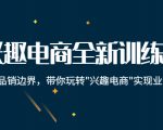 兴趣电商全新训练营:打破品销边界,带你玩转“兴趣电商“实现业务增长-风淘社
