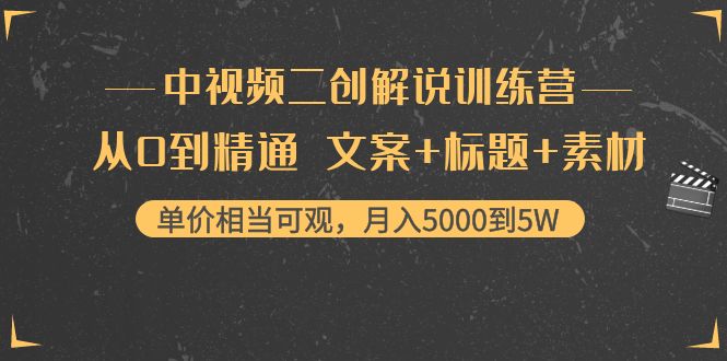 中视频二创解说训练营：从0到精通 文案+标题+素材、月入5000到5W-风淘社