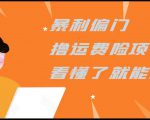 暴利偏门撸运费险项目,操作简单,看懂了就可以操作-风淘社