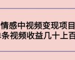 副业孵化营第5期:抖音情感中视频变现项目孵化 单条视频收益几十上百-风淘社