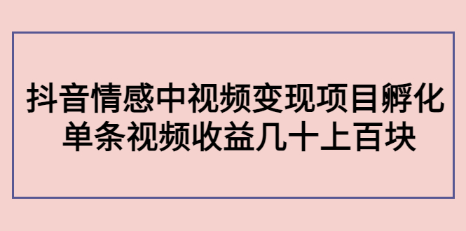 副业孵化营第5期：抖音情感中视频变现项目孵化 单条视频收益几十上百-风淘社