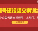 视频号短视频文案训练营:0基础小白如何建立视频号,上热门,能卖货!-风淘社