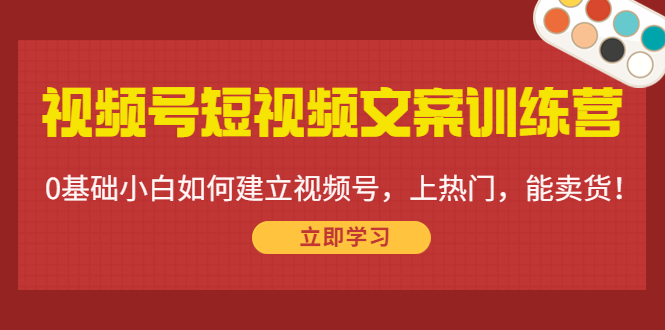 视频号短视频文案训练营:0基础小白如何建立视频号,上热门,能卖货!-风淘社