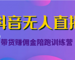抖音无人直播带货赚佣金陪跑训练营(价值6980元)-风淘社