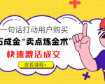 点石成金“卖点炼金术”一句话打动用户购买,快速激活成交!-风淘社