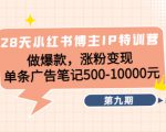 28天小红书博主IP特训营《第9期》做爆款，涨粉变现 单条广告笔记500-10000-风淘社