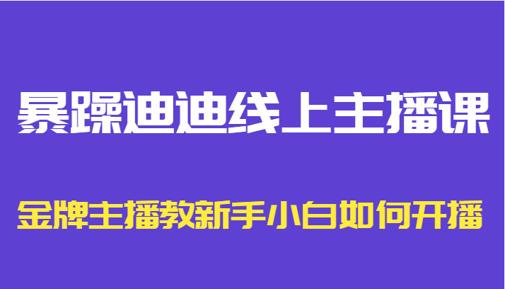 暴躁迪迪线上主播课，金牌主播教新手小白如何开播-风淘社