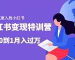 小红书变现特训营:带你快速入局小红书,从0到1月入过万-风淘社