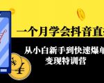 一个月学会抖音直播带货:从小白新手到快速爆单变现特训营(63节课)-风淘社