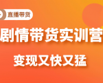 《剧情带货实训营》目前最好的直播带货方式,变起现来是又快又猛(价值980元)-风淘社